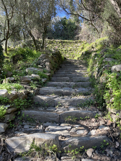 The trails: ancient mule track